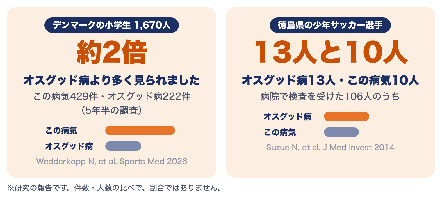 シンディング・ラーセン・ヨハンソン病の研究：デンマークの小学生の研究でオスグッド病の約2倍、少年サッカー選手の検査ではオスグッド病13人・この病気10人
