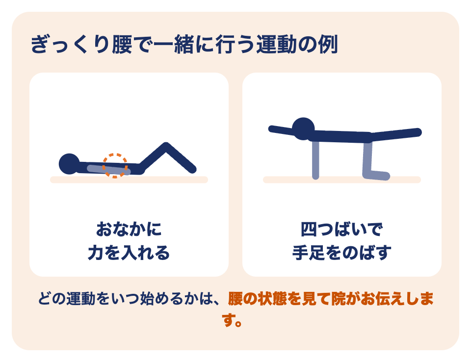 ぎっくり腰の運動療法の例：おなかに力を入れる運動、四つばいで手足をのばす運動