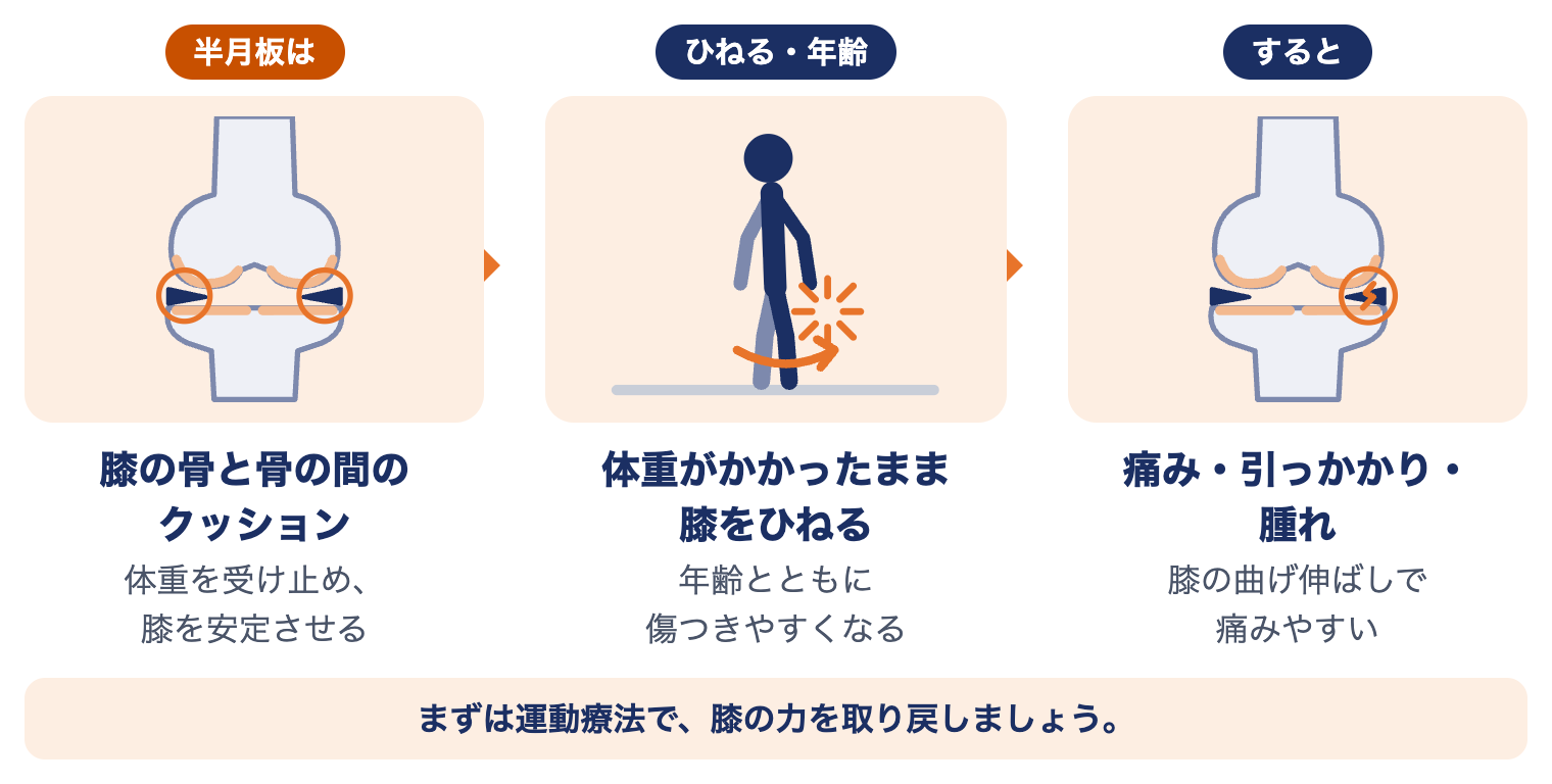 半月板損傷が起こるしくみ：半月板は膝の骨と骨の間のクッション、体重がかかったまま膝をひねる・年齢とともに傷つきやすくなる、すると痛み・引っかかり・腫れが出る