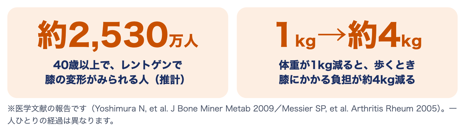 変形性膝関節症に関する数字：40歳以上でレントゲンで膝の変形がみられる人は約2,530万人（推計）、体重が1kg減ると歩くとき膝にかかる負担が約4kg減る（研究の報告）
