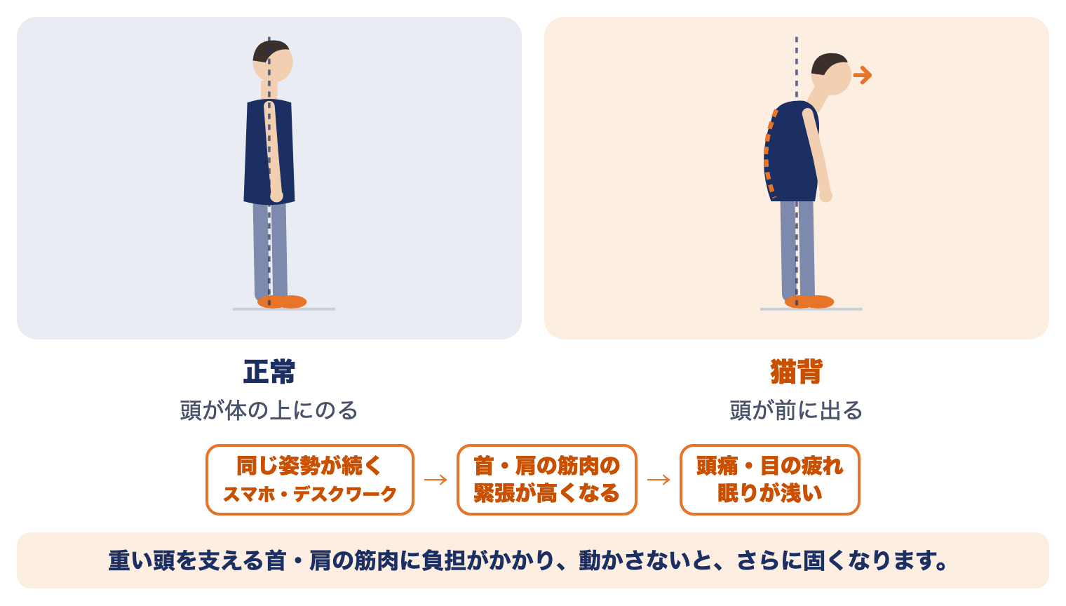 肩こりでつらくなりやすい姿勢：正常は頭が体の上にのり、猫背は頭が前に出る。同じ姿勢が続くと首・肩の筋肉の緊張が高くなり、頭痛・目の疲れ・眠りが浅いことにつながる