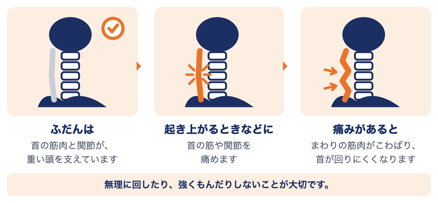 寝違えで首に起きていること：ふだんは首の筋肉と関節が頭を支え、起き上がるときなどに首の筋や関節を痛め、痛みがあると筋肉がこわばり首が回りにくくなる