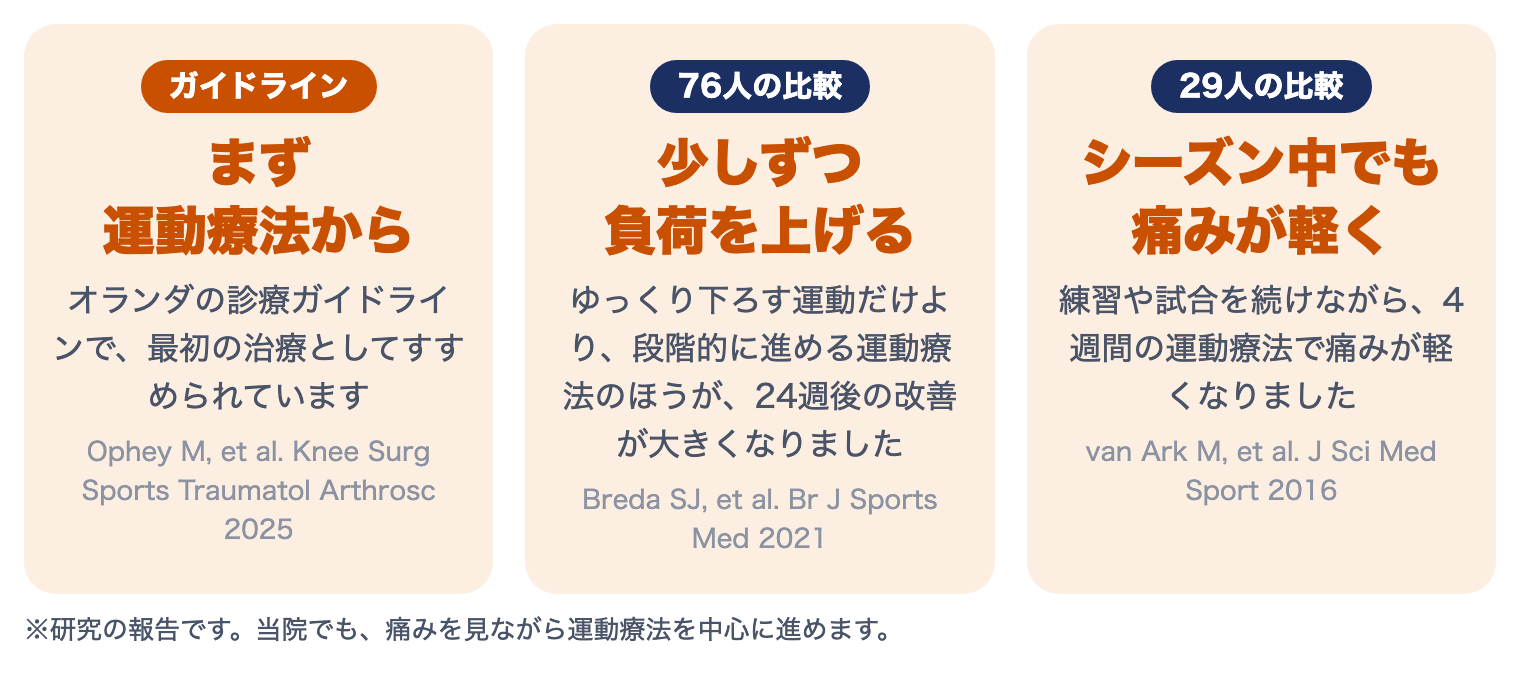 ジャンパー膝（膝蓋腱損傷）の研究：ガイドラインはまず運動療法から、少しずつ負荷を上げる運動療法、シーズン中でも運動療法で痛みが軽くなった