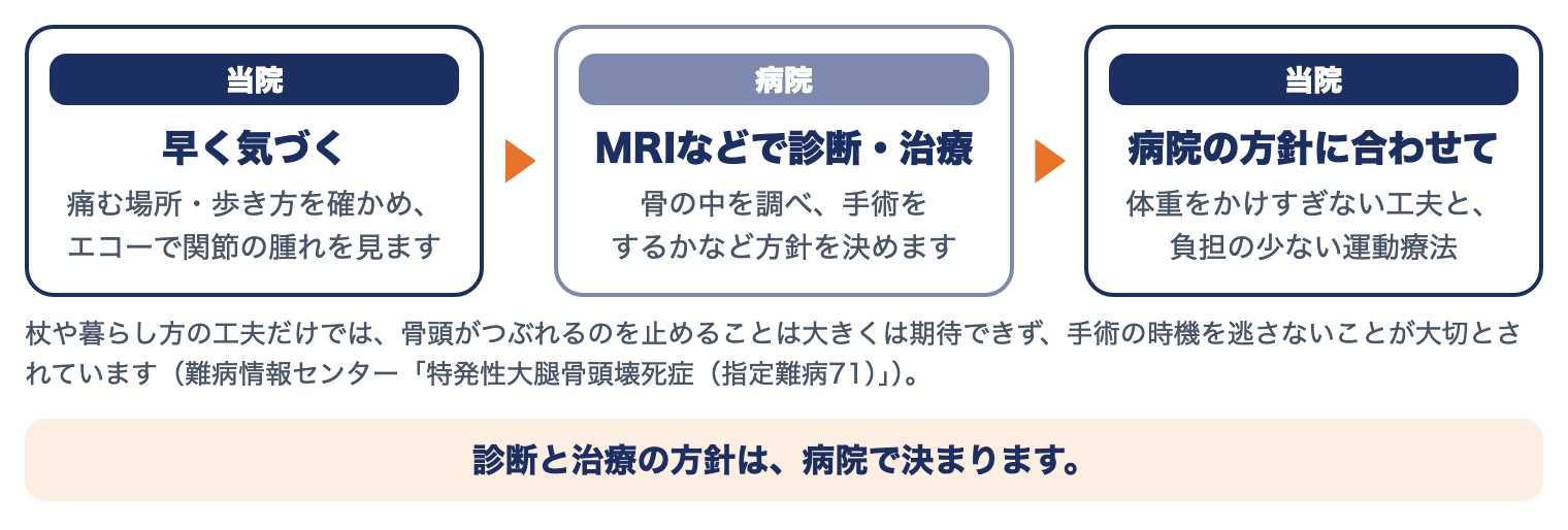 特発性大腿骨頭壊死症の病院と当院の役割：当院で早く気づく（痛む場所・歩き方・エコー）、病院でMRIなどで診断・治療の方針を決める、当院で病院の方針に合わせて体重をかけすぎない工夫と運動療法
