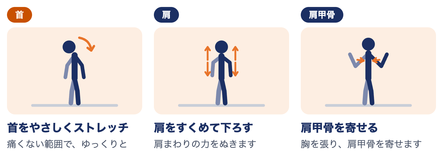 寝違えの運動療法：首をやさしくストレッチ、肩をすくめて下ろす、肩甲骨を寄せる