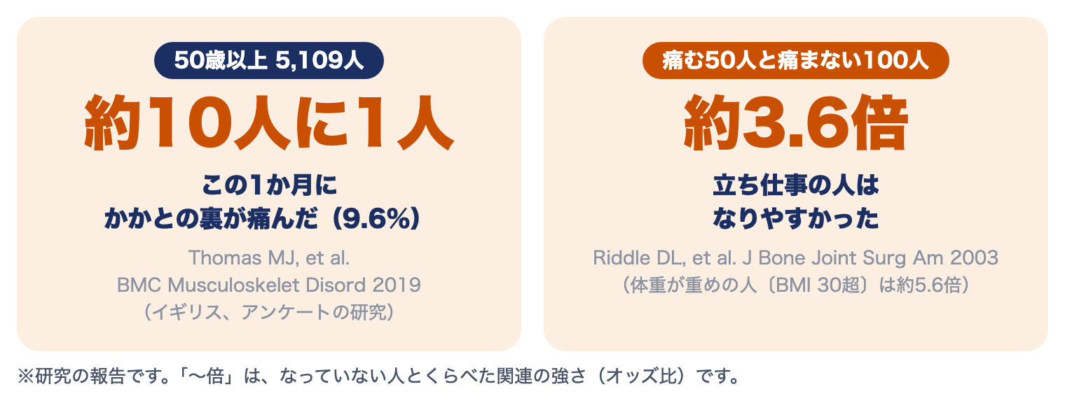 足底腱膜の痛みの研究：50歳以上の約10人に1人がこの1か月にかかとの裏が痛んだ、立ち仕事の人は約3.6倍なりやすかった