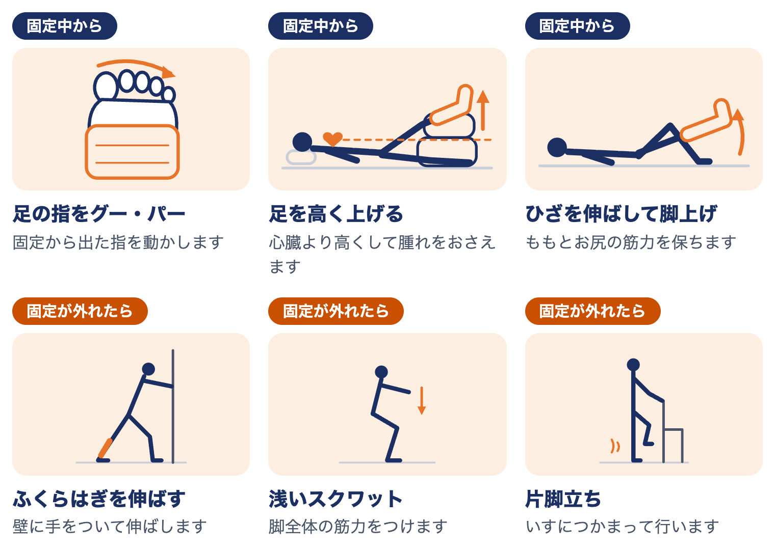 外果骨折の運動療法：固定中から足の指のグー・パー・足を高く上げる・脚上げ、固定が外れたらふくらはぎのストレッチ・浅いスクワット・片脚立ち