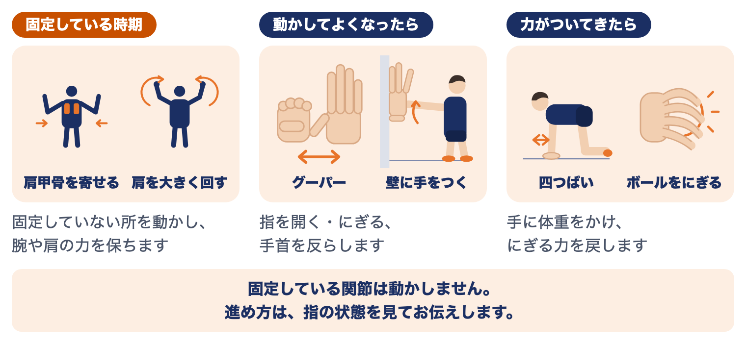 指の脱臼の運動療法（時期別）：固定している時期は肩甲骨を寄せる・肩を回す、動かしてよくなったらグーパー・壁に手をつく、力がついてきたら四つばい・ボールをにぎる