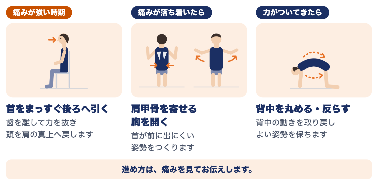 顎関節症の時期別の運動療法：痛みが強い時期は首をまっすぐ後ろへ引く、落ち着いたら肩甲骨を寄せる・胸を開く、力がついてきたら背中を丸める・反らす