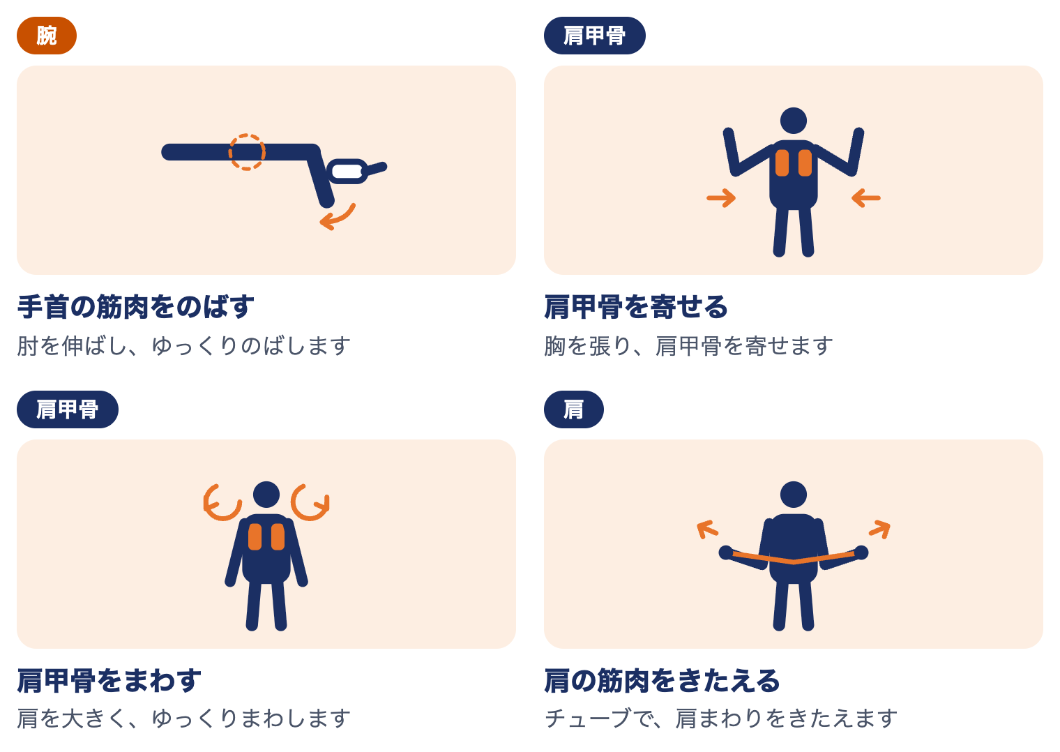 テニス肘の運動療法：手首の筋肉をのばす、肩甲骨を寄せる、肩甲骨をまわす、肩の筋肉をきたえる