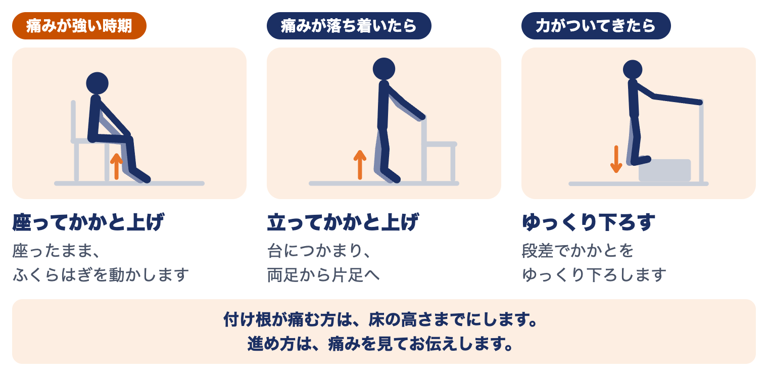 アキレス腱損傷の運動療法（時期別）：痛みが強い時期は座ってかかと上げ、落ち着いたら立ってかかと上げ、力がついてきたら段差でゆっくり下ろす
