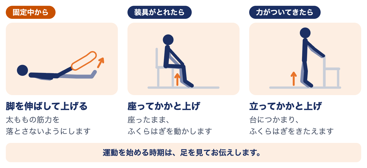 アキレス腱断裂の時期別の運動療法：固定中から脚を伸ばして上げる、装具がとれたら座ってかかと上げ、力がついてきたら立ってかかと上げ