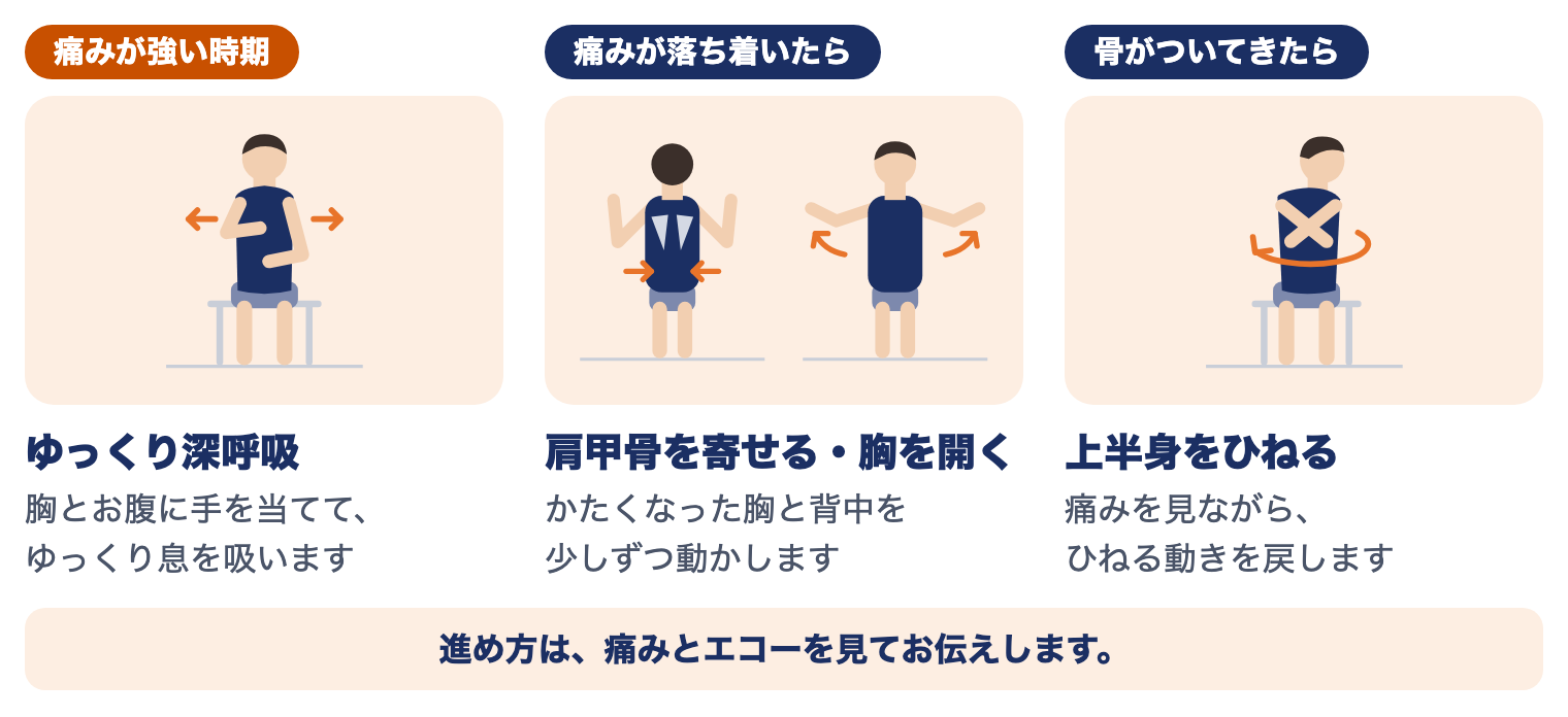 肋骨骨折の時期別の運動療法：痛みが強い時期はゆっくり深呼吸、落ち着いたら肩甲骨を寄せる・胸を開く、骨がついてきたら上半身をひねる
