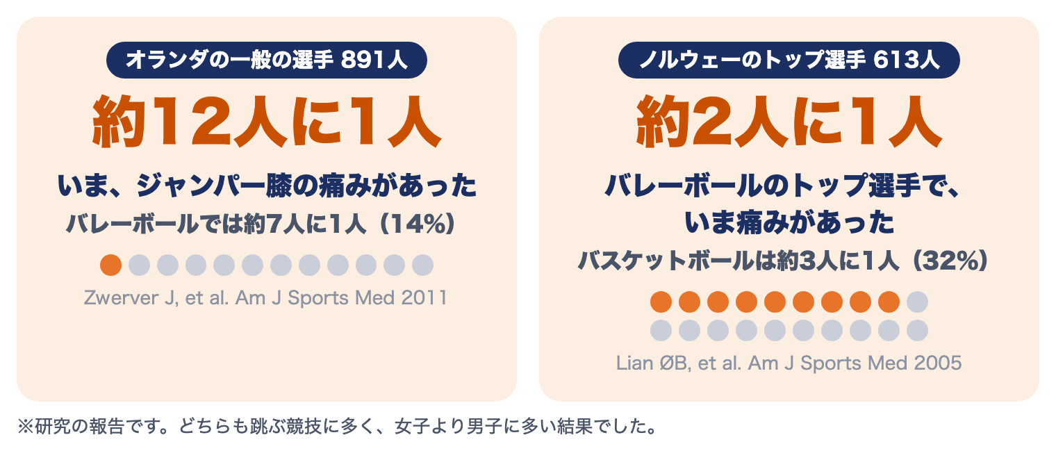 ジャンパー膝（膝蓋腱損傷）の研究：一般の選手の約12人に1人、バレーボールのトップ選手の約2人に1人に痛みがあった