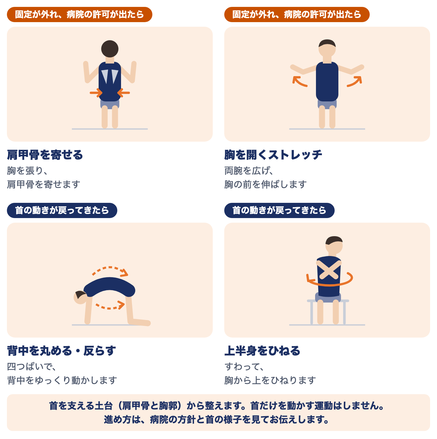 環軸関節回旋位固定の当院の運動療法：固定が外れ病院の許可が出たら肩甲骨を寄せる・胸を開くストレッチ、首の動きが戻ってきたら背中を丸める・反らす・上半身をひねる