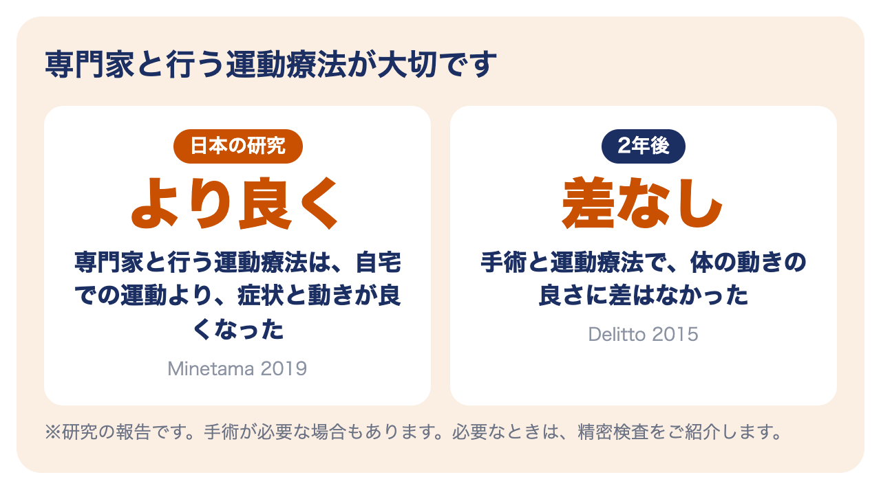 腰部脊柱管狭窄症の運動療法の研究：専門家と行う運動療法は自宅での運動より良くなった（Minetama 2019）、2年後に手術と差がなかった（Delitto 2015）